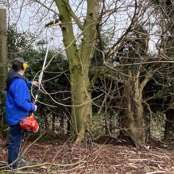 Using the chainsaw attachment to prune large tree of branches