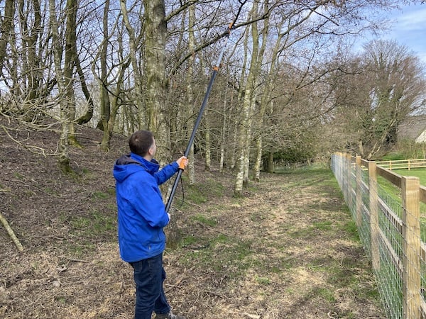 Fiskars PowerGear X UPX86 Telescopic Tree Pruner and using it to trim branches that are hanging pver paddock