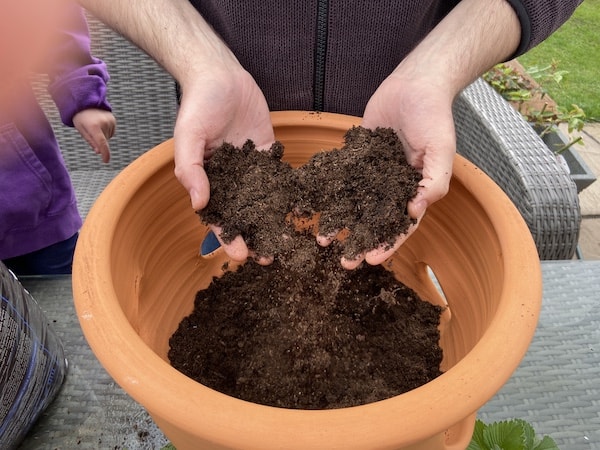 Adding tub and basket compost to bottom of strawberry pot to just under the side holes on the side of the pot