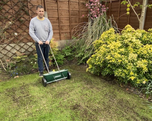 Applying grass seed to my lawn to repair brown patches