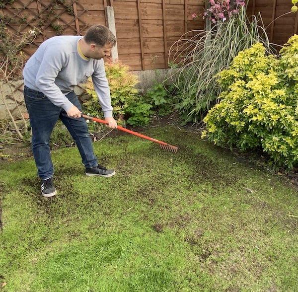 Raking my lawn lightly to break the surface of the soil up before sowing grass seed