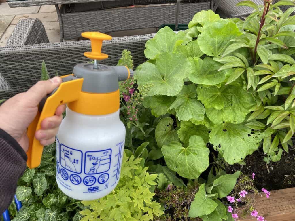 spraying plants with the 2. Hozelock 1.25L Spraymist Pressure Sprayer