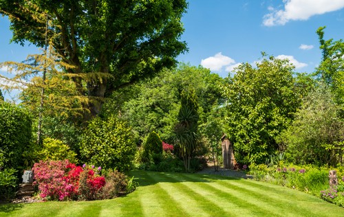 a striped lawn created using a lawn mower with a rear roller