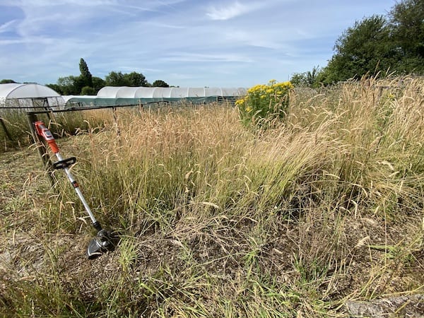 Before strimming with the 36v Black + Decker Cordless Strimmer