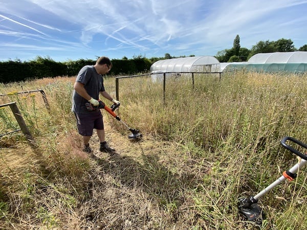 Using the Black + Decker 18v Cordless Strimmer on some very tall and thick weeds