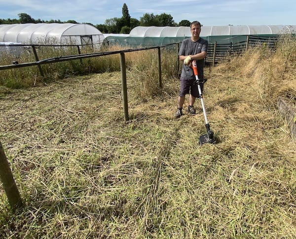 Testig 36v Black + Decker cordless strimmer on overgrown area