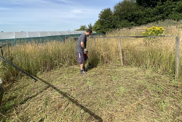 Cutting back thick weeds and grass with the Black + Decker 18v Cordless Strimmer