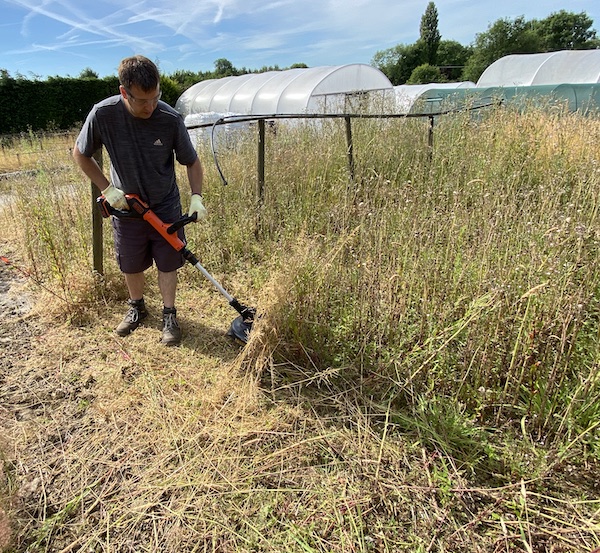 The 18v Black + Decker Cordless Strimmer was eve up to cutting several feet tall weeds and grass