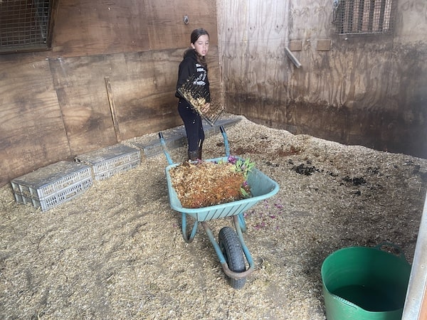 My happy daughter helping to muck out stables which she loves doing even though here face says otherwise