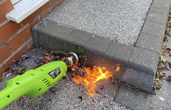 Be careful with weed burner, dry debris such as leaves will set on fire