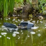 The best pond skimmers tested to see how well they work and which are the best models