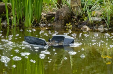 The best pond skimmers tested to see how well they work and which are the best models