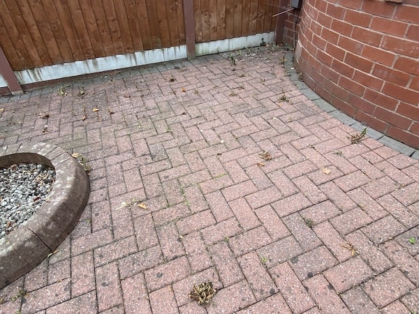 After spraying with WEEDKIL Garden Weedkiller