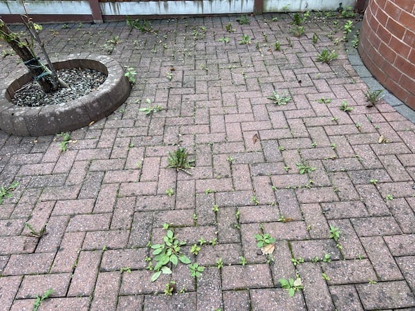 Before spraying with WEEDKIL Garden Weedkiller