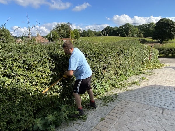 Cutting a very long hedge with the DeWalt 18v cordless hedge trimmer