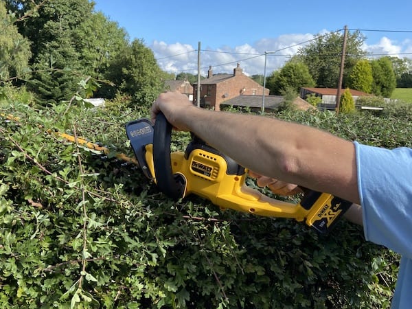 Cutting the top of  hedge with the DeWalt 18v hedge trimmer