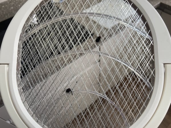 Close up of the electric mesh, small enough to stop flies passing through