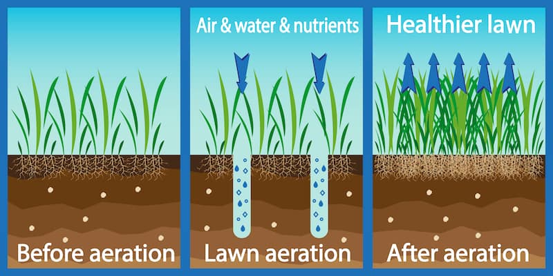How lawn aeration works and benefits your lawn