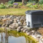 Testing the best pond filter boxes for keeping a pond clean and clear