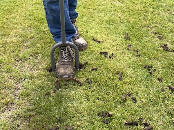 Using Walensee Lawn Coring Aerator which had large foot bar making it easier to use