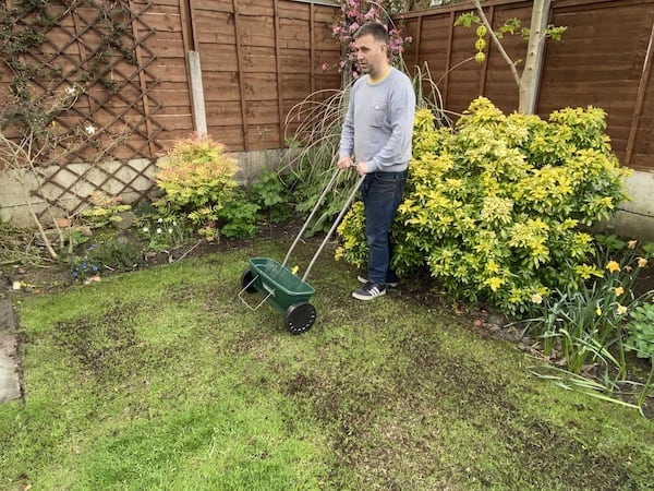 Applying new grass seed in autumn and using a lawn sprinkler attached to my water timer system