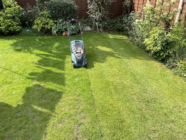 Using the Bosch Cordless Lawnmower EasyRotak 36-550, which gives a good even cut