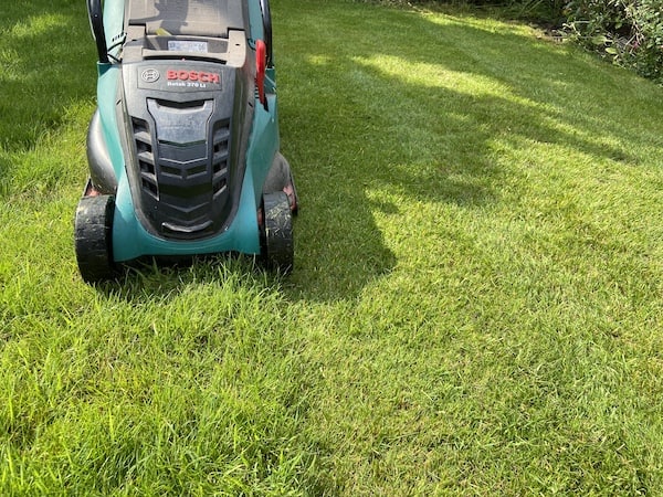 Close up of the cutting finish using the Bosch cordless mower