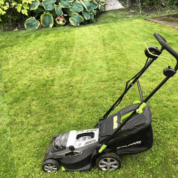 Murray 36V Lithium-Ion 44cm Cordless Lawnmower