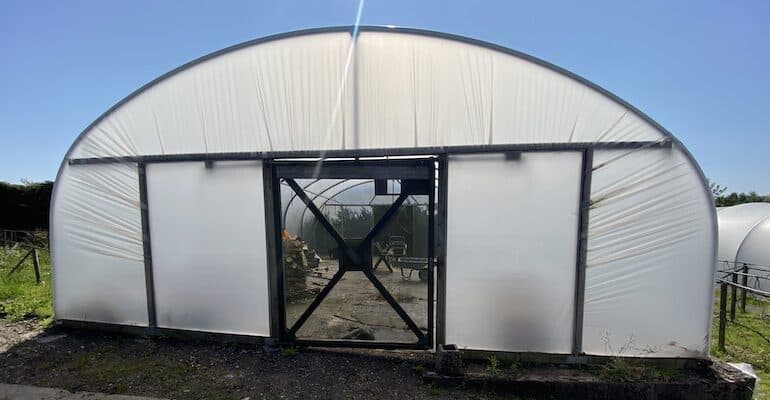 Best garden polytunnels tested and compared