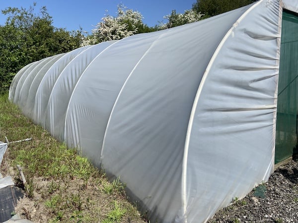 Get the tunnel polythene sheet as tight as possible