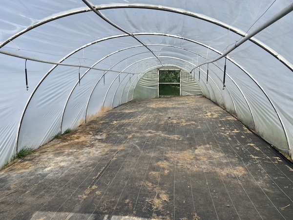 Polytunnels on my allotment