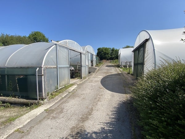 Some of our professional polytunnels that we build over last 20 years