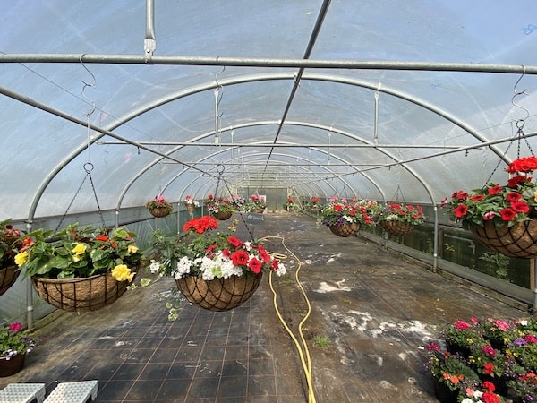 Weed control fabric is a great option for polytunnels floors