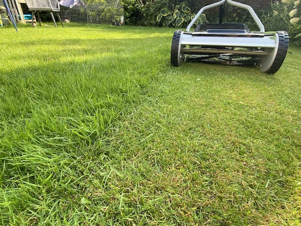 Push reel mowers are great for small gardens and give a close cut