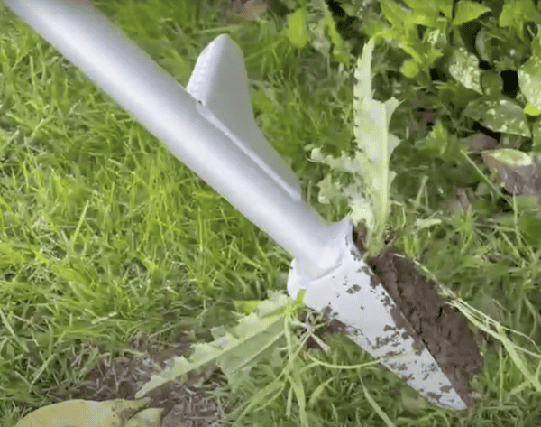 The Gardena weed puller leaves a smaller hole in the lawn than Fiskars does