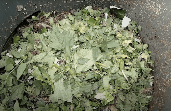 What waste to put into a compost bin which includes carbon rich garden waste and nitrogen rich garden and kitchen waste