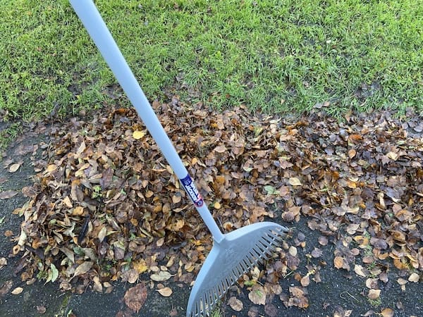 5 Best Leaf Grabbers I Use For Collecting Leaves Professionaly