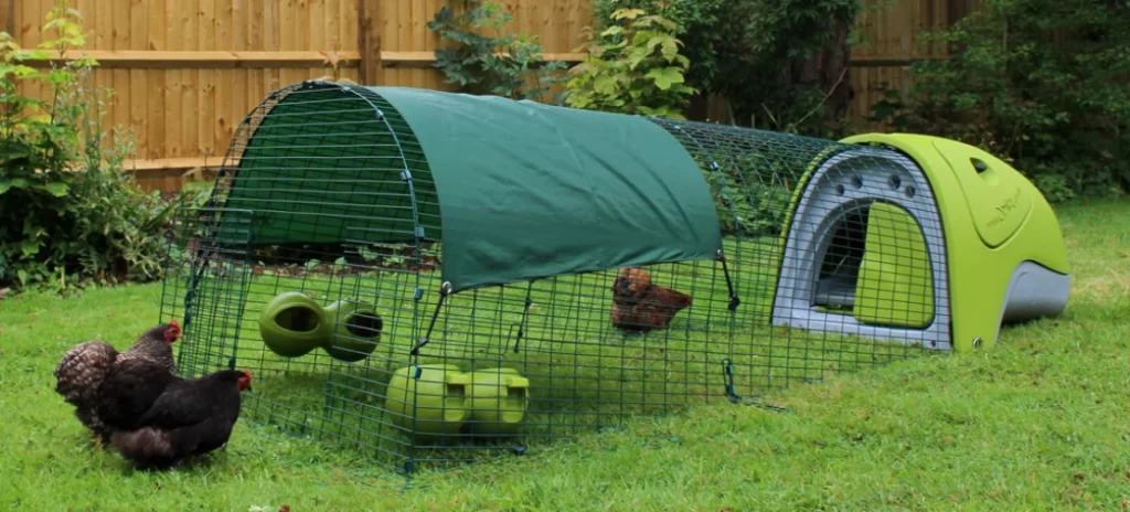 omlet Eglu chicken coop that we have been testing over the last few months