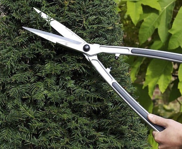 my Burgon & Ball Topiary Hedge Shears which I use for larger topiary plants and buxus or yew hedging
