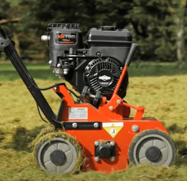 Weibang WB384RB is a real workhorse and the best option for professionals